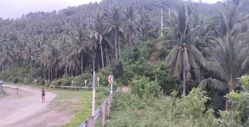 Land Property #1 on Yabanan, Abra De Ilog