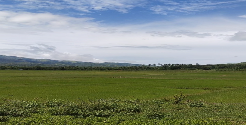 Land Property #1 on Cabignayan, Abra De Ilog