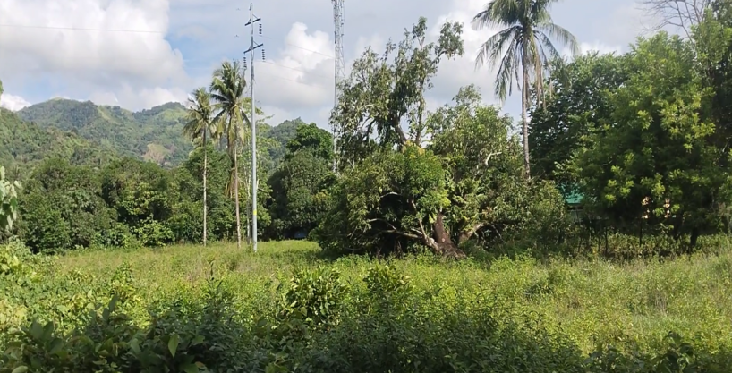 Land Property #1 on Balao, Abra De Ilog