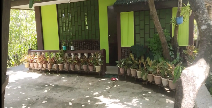 House Property #3 on Amazona, Abra De Ilog