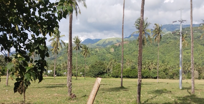 Land Property #2 on Balao, Abra De Ilog